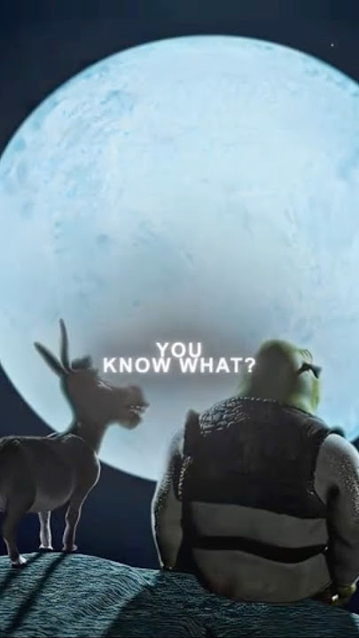 Donkey and Shrek Under the Moon 😂 #shrek #funnyshorts