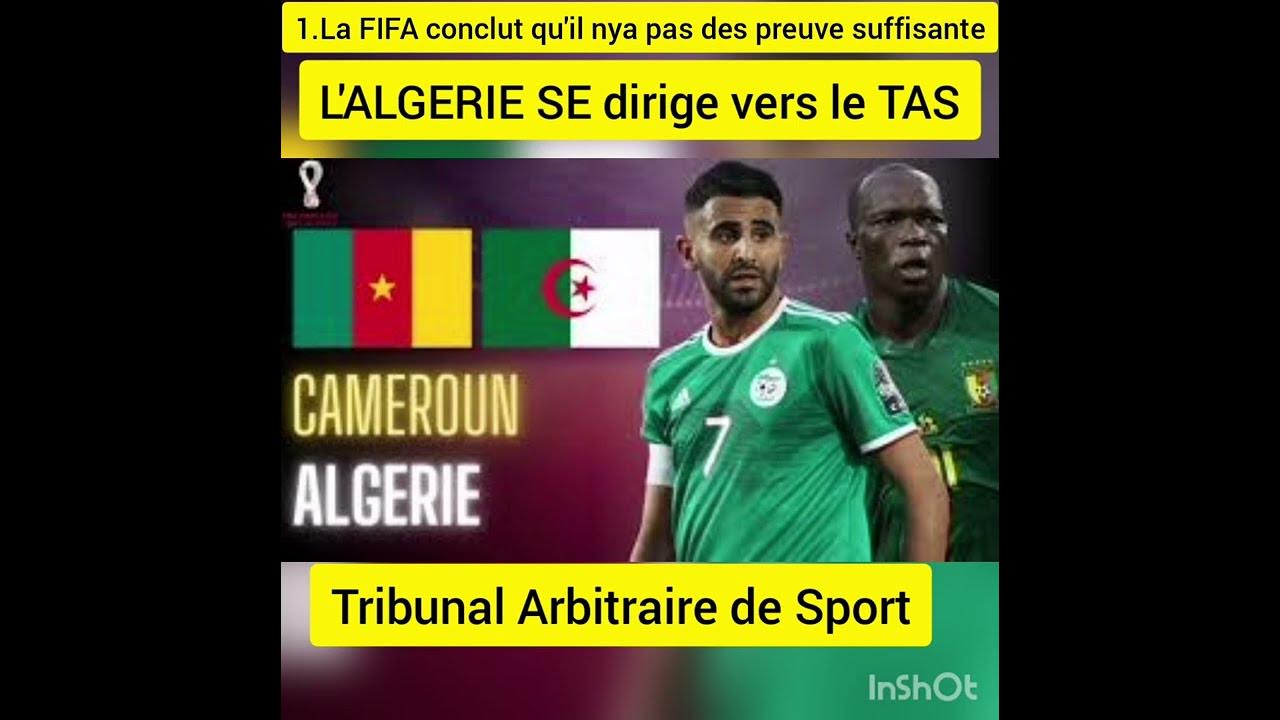 ALGERIE-CAMEROUNE : les quatre issu POSSIBLE!!!! - YouTube