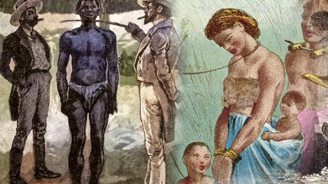 THE TERRIBLE Truth About Slave Breeding Farms