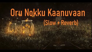 Oru Nokku Kaanuvan|| Slow and Reverbed Version || Sunday Holiday