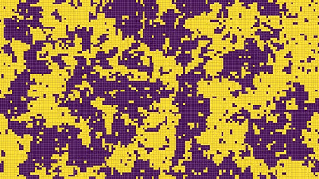 Ising Model (Statistical Mechanics).
