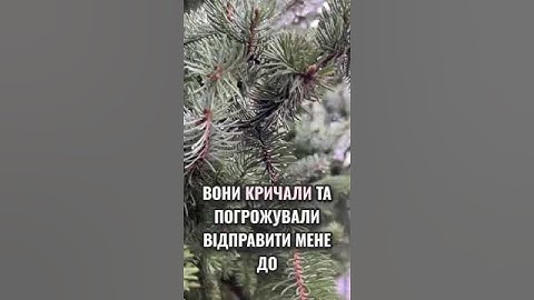 Оскільки мій син і його дружина вважали, що я сплю, вони говорили вільно