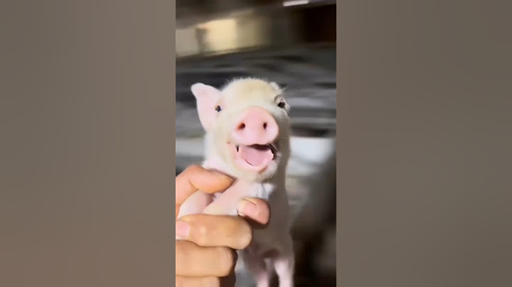 Cute video 😍