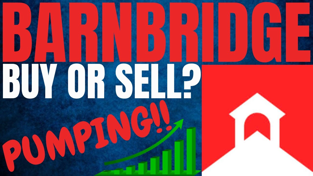 Barnbridge crypto