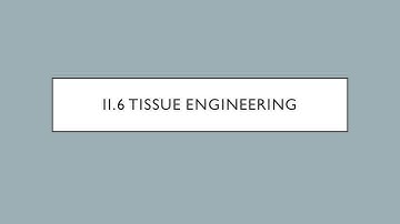 Biomaterials - II.6 - Tissue Engineering