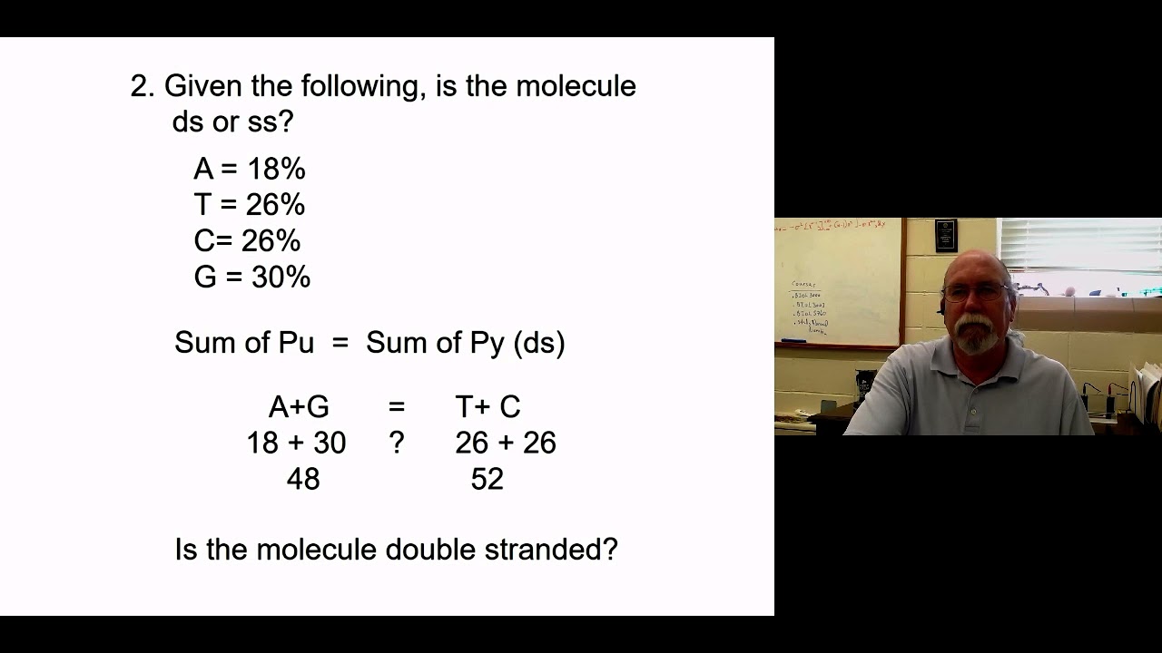 GG   DNA Physical Structure Part 5
