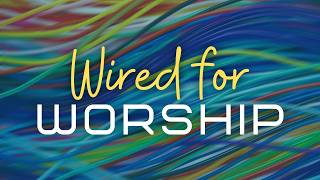 Wired for Worship: What Will You Worship?