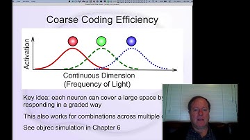 CCN Course 2020, Neuron 3: Dimensions