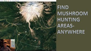 How To Find Mushrooms With Google Earth