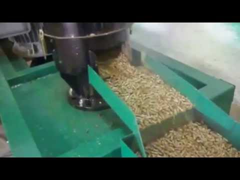 Video Máy ép viên nén mùn cưa trục đứng- 0985586016 - youtube