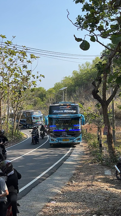 Ketika Ketemu Bus Artis Telolet Basuri Tuan Muda🤣 #shorts #busmania #basuri