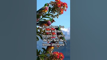 Experience doesn’t warn you — it teaches you the hard way #quotes #dothingsyoudontwanttodo #love