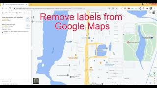 Remove labels from Google Maps and export image as pdf without using complicated software screenshot 1