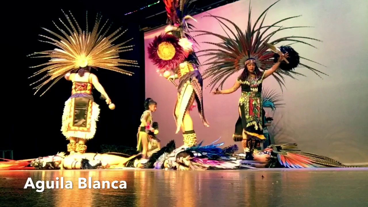 Top 77+ imagen danza de aguila blanca