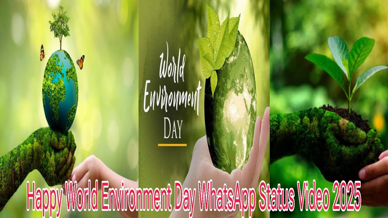 💞Happy World Environment Day WhatsApp Status Video 2025💓world environment whatsapp status💙