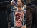 Negative Impact of drinking carbonated Drinks #harmful #3danimation #healthtips #facts