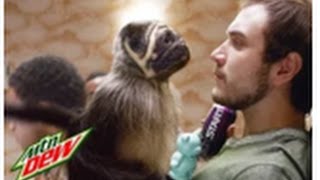 Mtn Dew Kickstart: Puppymonkeybaby | Super Bowl Spot