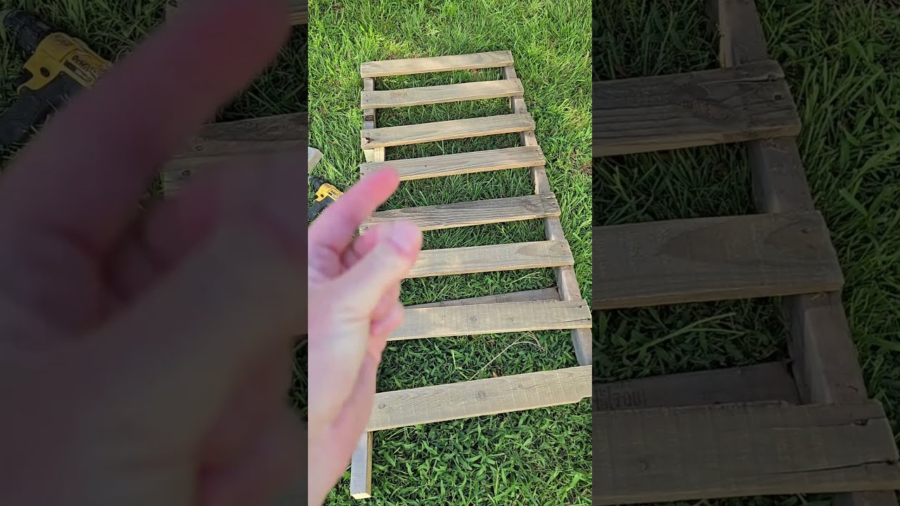 Just a little repurposed chicken enrichment!