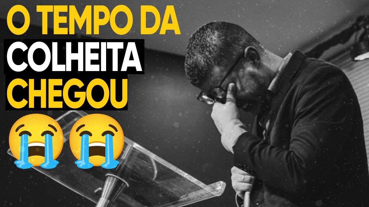 Руфь 1:22 — Время жатвы пришло (Книга Руфь Элиоэнай Монтейру)