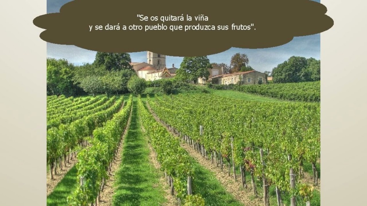 homilia catolica de  viñadores homicidas