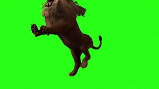 Футаж 3d Лев Зелёный фон Лев Видео на зелёном фоне A LION Видеомонтаж 3d