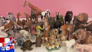 Rand bespotten Sicilië Schleich paarden video – Schleich verzameling dierentuin, boerderij,  bosdieren en dino's review - YouTube