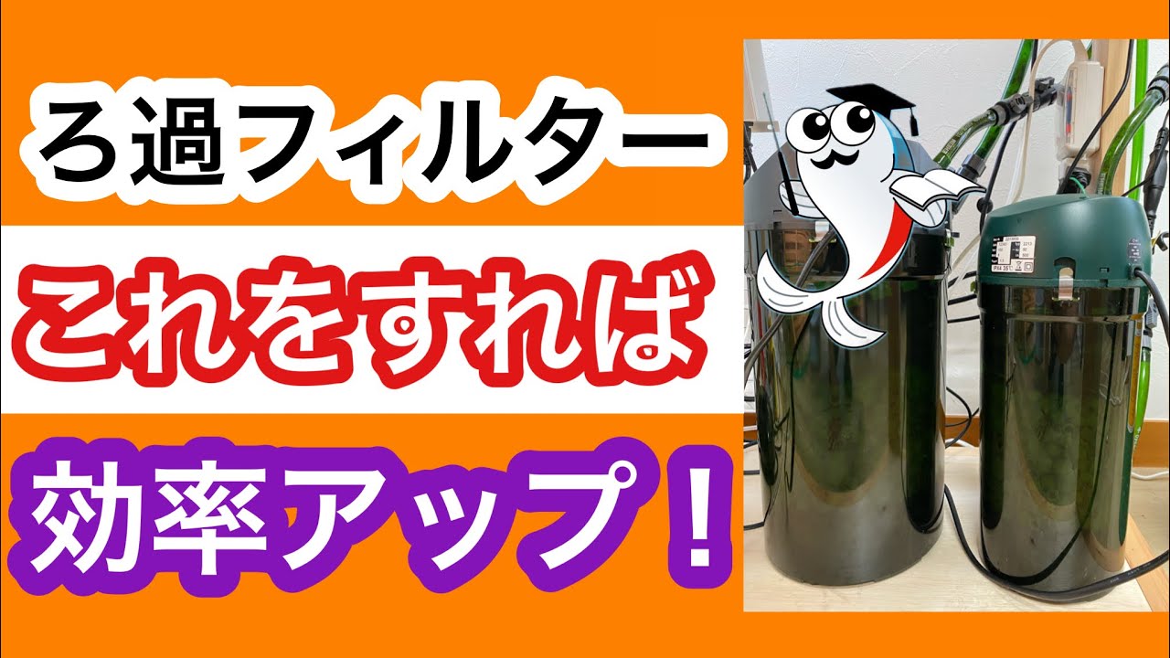それもったいない ろ過フィルター本当に正しく設置できていますか Youtube それもったいない ろ過フィルター本当に正しく設置できていますか Youtube