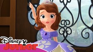 Sofia den Første: Spilledåsen og ...