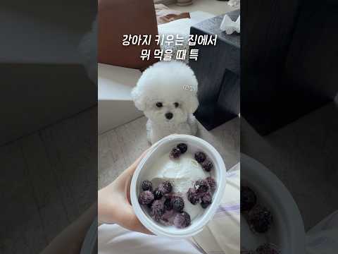 언니 이거 모야..? 마싯써보이네..? thumbnail