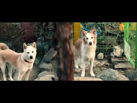 약간 어질 아침 3월28일