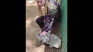 Anya Taylor Joy latest instagram post. with koala