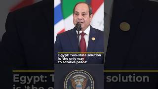 Egypt: Two-state solution is 'the only way to achieve peace' | #ajshorts