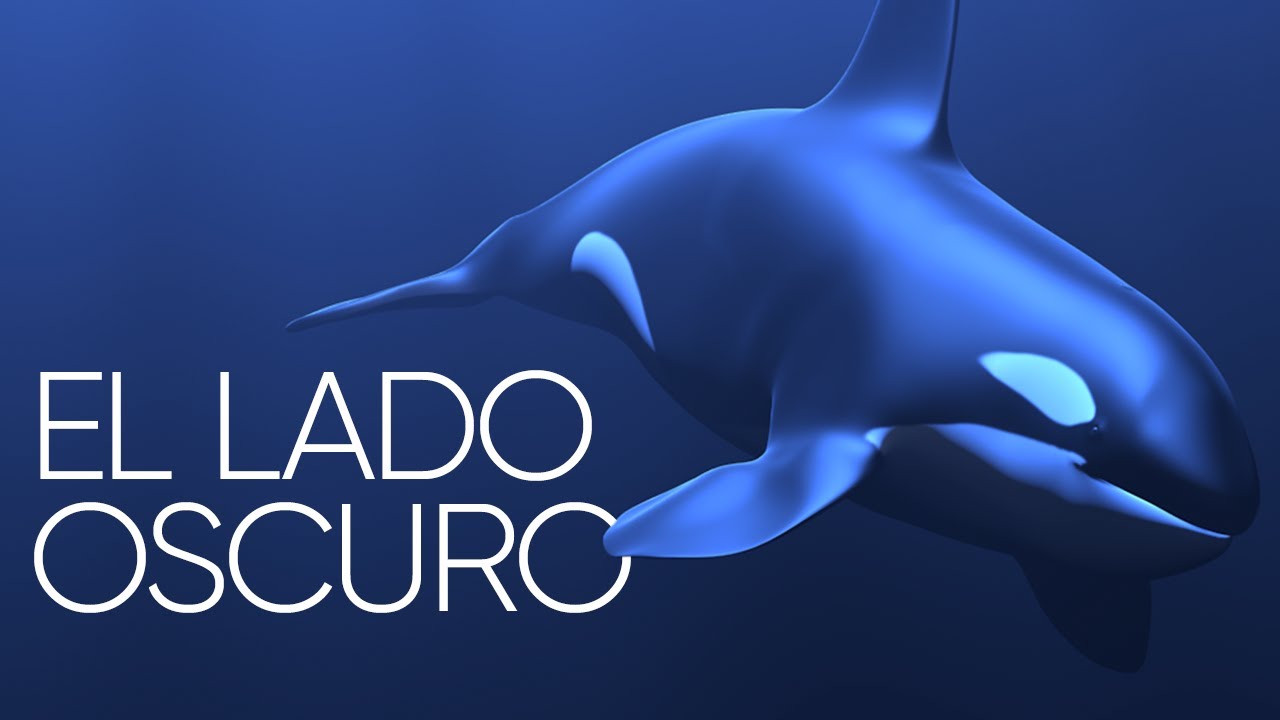 El Lado Oscuro de SeaWorld: