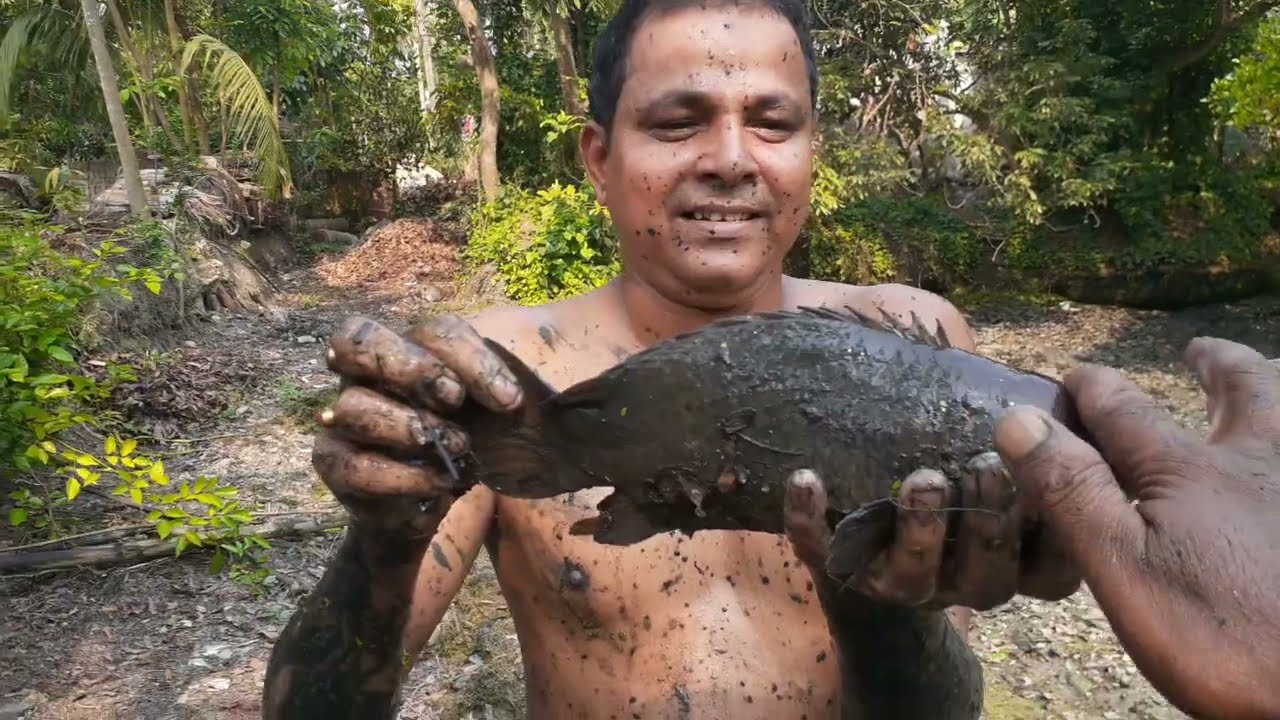 এতো বোরো কই মাছ কে কে দেখেছো!!আমাদের পুকুর ছেচে পোচির মাছ পেলাম  😇😇😇