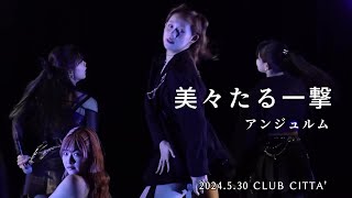 美々たる一撃」／アンジュルム（2024.5.30 CLUB CITTA'） - YouTube