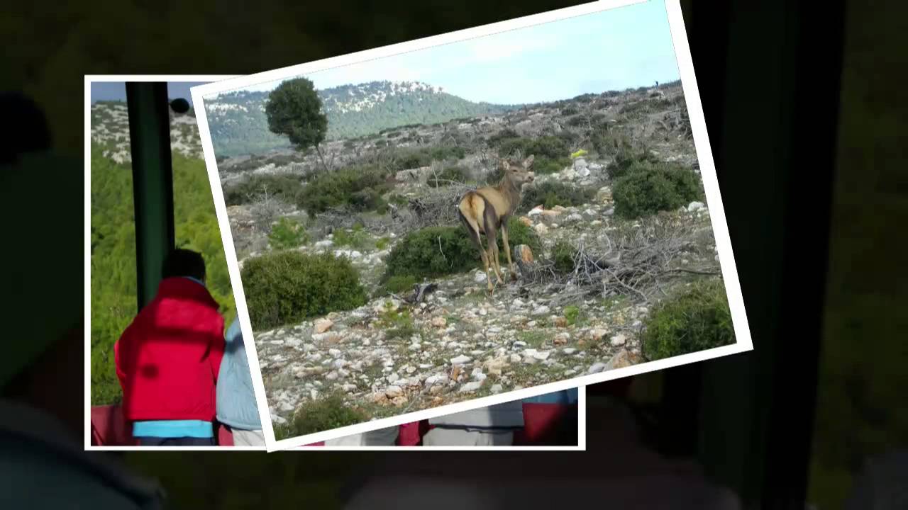 ΕΚΔΡΟΜΕΣ ΣΑΒΒΑΤΟΥ