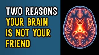 Your Brain Is Not Your Friend