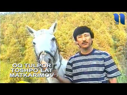 Toshpo`lat Matkarimov - Oq tulpor | Тошпулат Маткаримов - Ок тулпор
