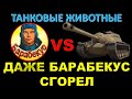 БАРАБЕКУС ГОРИТ ИЗ-ЗА НЕАДЕКВАТНОГО СОЮЗНИКА / Даже вежливый Барабекус не выдержал