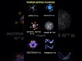 Smallest particle in universe. #chemistry #modernphysics