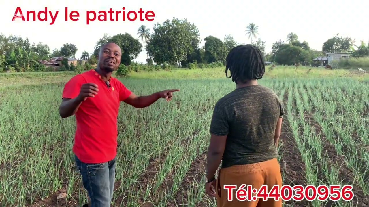Gade tout sa yon jèn fi konnen nan travay latè#agriculture #haitianculture #culture 
