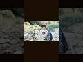 Heeseung - Go Away #kpop #enhypen #heeseung #fypシ #viral #foryou