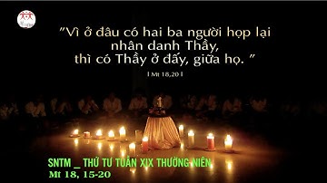 Suy niệm Lời Chúa | Thứ Tư tuần XIX Thường Niên | Mt 18,15-20 | Lm Ant. Nguyễn Cao Siêu SJ