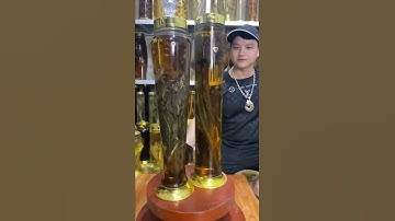 Loại Hoa Cực Hiếm Có Khả Năng Cải Lão Hoàn Đồng , Hoa Sen Tuyết , Thiên Sơn Tuyết Liên