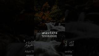 🎧Pause for 10 Seconds and Reflect on This Powerful Quran  Verse #shorts #surah #fyp #trending #viral