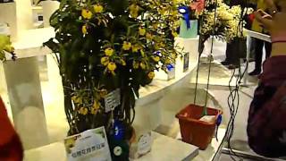 PICT6550.AVI