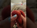 #squishyasmr #crunchyasmr #squishy #squishytoy #pawtoto