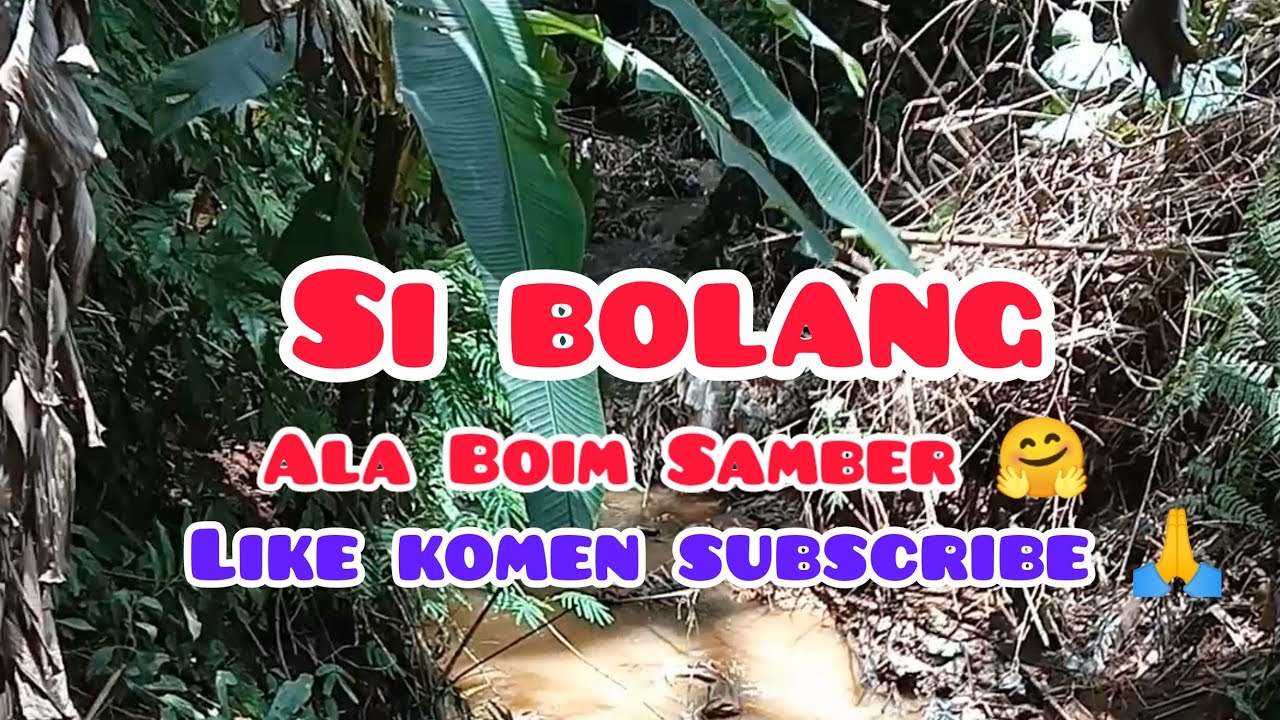 Si bolang ala [Boim Samber] - YouTube