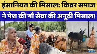 Rajsamand News: Transgender Community ने पेश की Gau Seva की अनूठी मिसाल! | Top News | Rajasthan