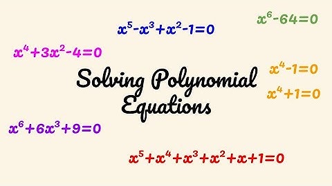 Solving Polynomial Equations